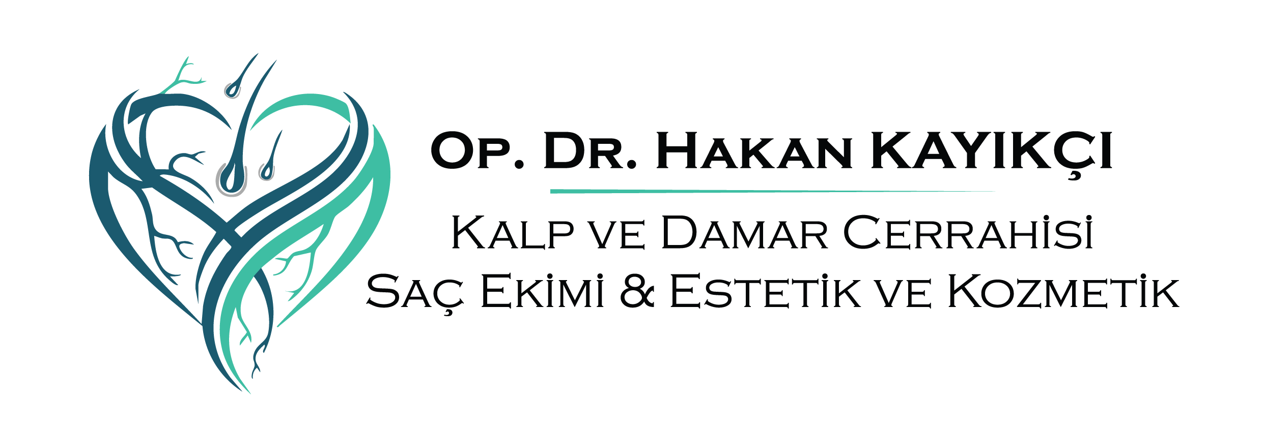 Kurumsal Logo Alt
